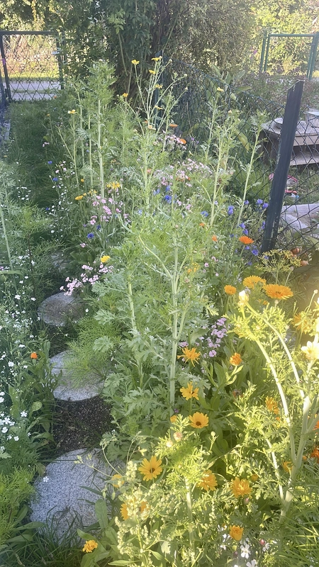 Wildgarten 1