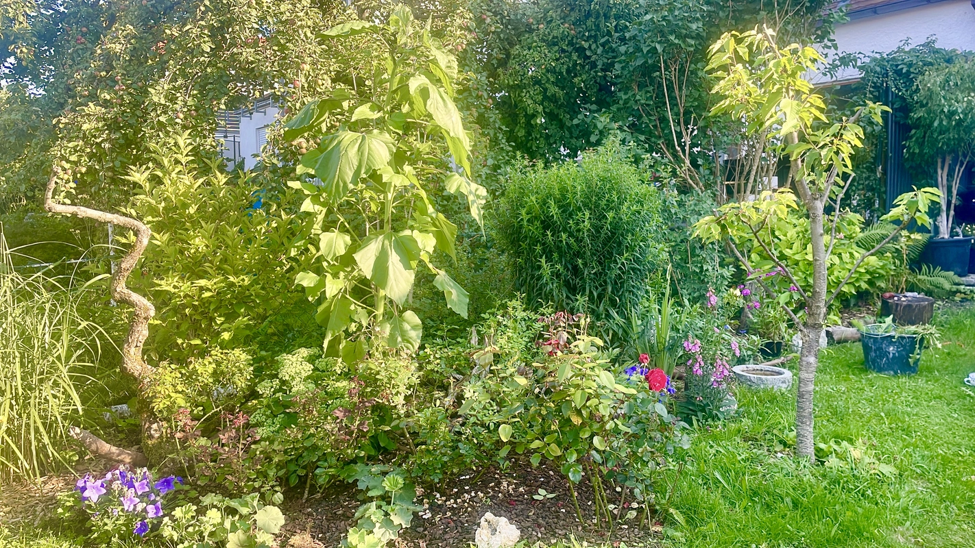 Wildgarten 4