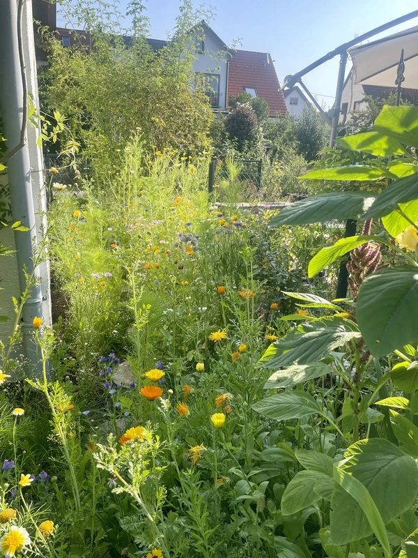 Wildgarten 6