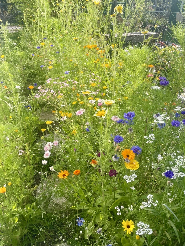 Wildgarten 7